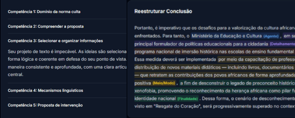 Análise das 5 Competências